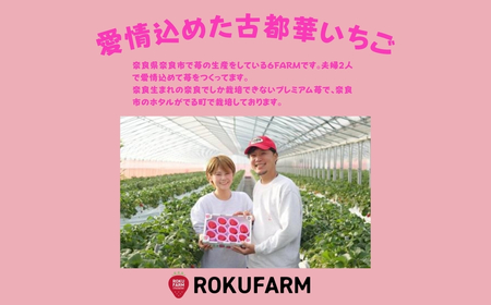 いちご 古都華 奈良市産（250g入×２パック）【2026年（令和8年）1月～発送】 苺 10-205
