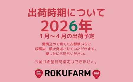 古都華 いちご （大粒サイズ）【2026年（令和8年）1月～発送】 苺 20-050