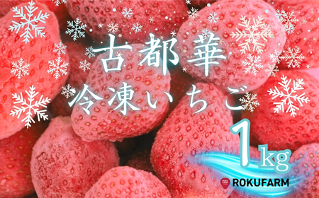 【数量限定】完熟古都華 の 冷凍いちご（古都華） 奈良ブランド苺 イチゴ フルーツ 果物 国産 冷凍 人気 かき氷 フローズン スムージー ジャム アレンジ スイーツ 『６FARM』  10-212 [10-212]
