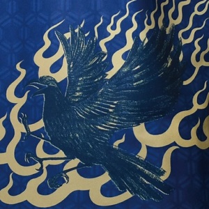 サッカー 奈良クラブ 2025 ユニフォーム ホームFP Jリーグ Oサイズ 61-007