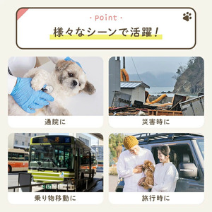 ペットキャリーリュック 〈ライズクリエイション atRise〉 ライトグレー rise440