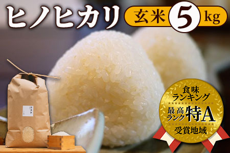 ヒノヒカリ玄米5kg 令和6年産米:冷めても美味しい 18-030