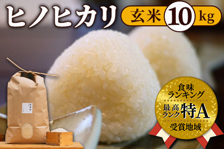 ヒノヒカリ玄米10kg 令和6年産米：冷めても美味しい　35-035