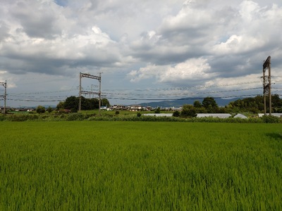 【10月中旬以降発送】【新米】令和7年産ヒノヒカリ『寧楽(なら)の米』玄米10㎏ 25-030