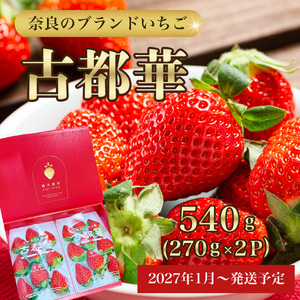 【ふるなびWEEK対象】【先行予約】いちご 古都華270g×2パック【2027年1月以降お届け】藤井農園 12-124 FN-Limited-WE
