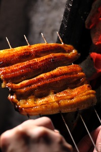 うなぎ うな重一尾 食事券 鰻うな菊 うなぎ