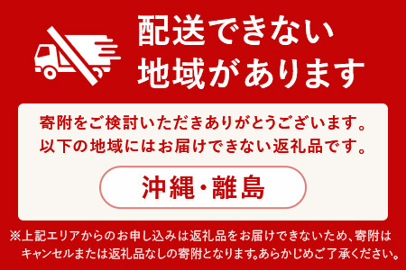 いちご コットンベリーいちご 約500g 15-086