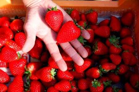 古都姫 ゆりかーご 2パック 約540g(270g×2pc)　15-085