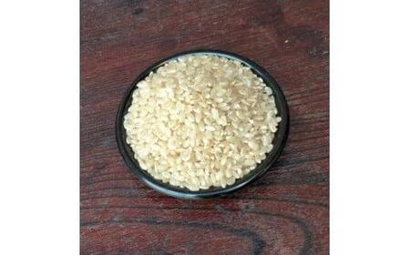 米 新米 こしひかり5kg ykj01