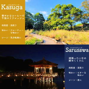 ブレンド 150g×2パック 4種 粉