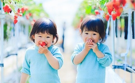 和だや『古都華』２５０×４パック【大容量】