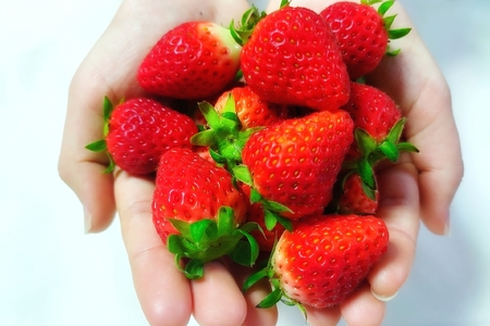 【2026年1月～発送予定】奈乃華と古都華のセット