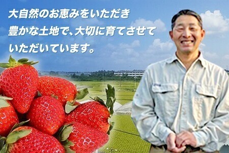 和だや『古都華』2６0×２パック【大粒】