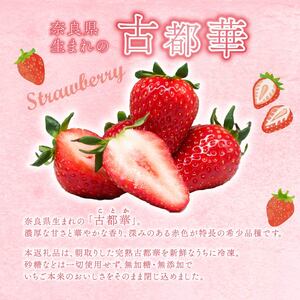 冷凍いちご（古都華）1kg【mbi01】