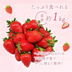 冷凍いちご（古都華）1kg【mbi01】