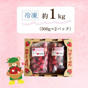 冷凍いちご（古都華）1kg【mbi01】