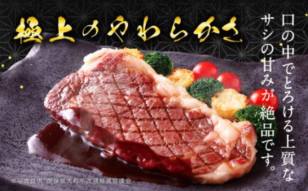 ブランド牛肉 大和牛ロース850g 牛肉 肉 特上牛肉 肉 大和牛ロース 上質なサシ 極上の柔らかさと甘み 黒毛和牛 肉 特上牛肉 霜降り G-65 奈良 なら