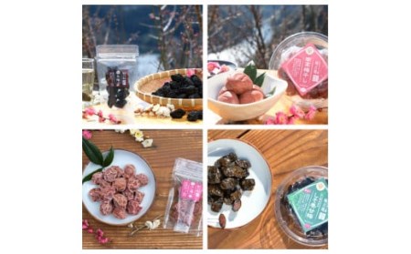 梅干し 日本唯一！烏梅職人手づくり 七百年の伝統 本物梅づくし（松）味比べ4点セット 月ヶ瀬 赤シソ 13-069