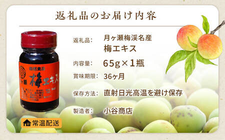 【梅エキス】65g 月ヶ瀬梅渓名産 梅 I-247