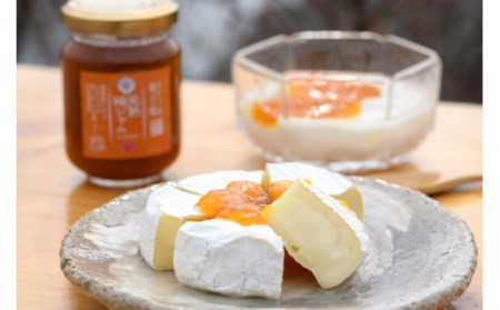 梅 『食べたらハマる 甘ずっぱい無添加梅セット(日本唯一!烏梅職人手づくり)』 無添加 梅 手作り ギフト プレゼント うめ セット 健康 ウメ 無添加 ぎふと 詰め合わせ 梅干し 職人 伝統 おかず ご飯 うめ セット プレゼント 6-405