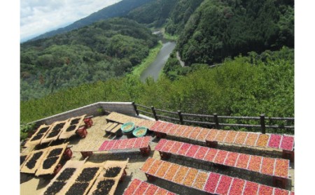 梅 『食べたらハマる 甘ずっぱい無添加梅セット(日本唯一!烏梅職人手づくり)』 無添加 梅 手作り ギフト プレゼント うめ セット 健康 ウメ 無添加 ぎふと 詰め合わせ 梅干し 職人 伝統 おかず ご飯 うめ セット プレゼント 6-405