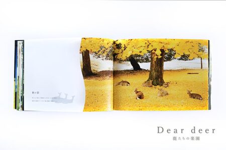 奈良の鹿 写真集「Dear deer 鹿たちの楽園」写真集 鹿 写真集 鹿 写真集 鹿 写真集 鹿 写真集 鹿 J-63 奈良 なら