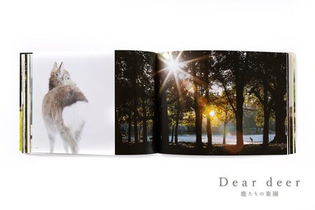 奈良の鹿 写真集「Dear deer 鹿たちの楽園」写真集 鹿 写真集 鹿 写真集 鹿 写真集 鹿 写真集 鹿 J-63 奈良 なら