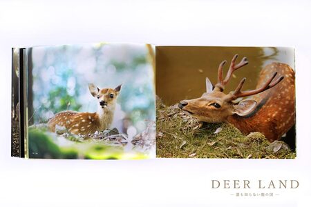 奈良の鹿 写真集「DEER LAND 誰も知らない鹿の国」 2作目 オールカラー