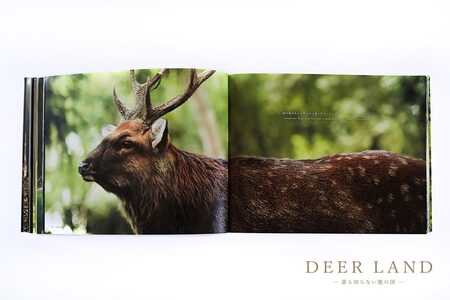 奈良の鹿 写真集「DEER LAND 誰も知らない鹿の国」 2作目 オールカラー