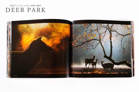 奈良の鹿 写真集「DEER PARK 世界でここにしかない奇跡の場所」　写真集　写真集　写真集　写真集　写真集　I-193 奈良 なら