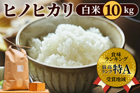 【米】 ヒノヒカリ白米10kg 令和6年産米 35-033 米