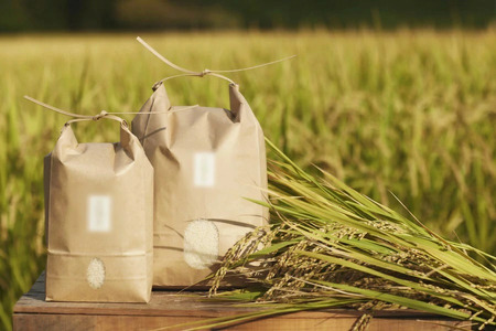 【米】 ヒノヒカリ白米10kg 令和6年産米 35-033 米