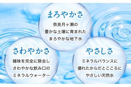 【ミネラルウォーター】 （定期便6ヶ月） 奥大和の銘水 500ml×48本（24本×2箱） 水 長期保存可能 銘水 水 Q-13 ミネラルウォーター