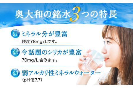 【ミネラルウォーター】 （定期便6ヶ月） 奥大和の銘水 500ml×48本（24本×2箱） 水 長期保存可能 銘水 水 Q-13 ミネラルウォーター