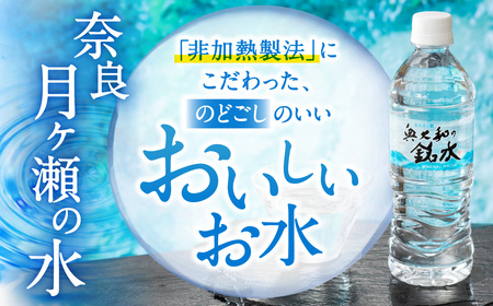 【ミネラルウォーター】 （定期便12ヶ月） 奥大和の銘水 500ml×48本（24本×2箱） 水 長期保存可能 銘水 水 A-1 ミネラルウォーター