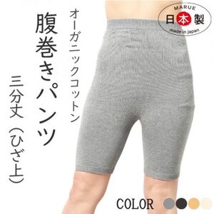 日本製 オーガニックコットン 腹巻パンツ 3分丈 無縫製 グレー (612-7543)_装飾品・工芸品  服飾小物 _【1257791】