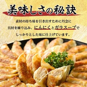 鉄人餃子 150個(30個×5袋)_惣菜・加工品 餃子 ぎょうざ ギョウザ_【配送不可地域:離島】【1373365】
