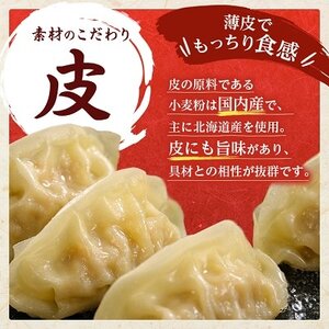 鉄人餃子 150個(30個×5袋)_惣菜・加工品 餃子 ぎょうざ ギョウザ_【配送不可地域:離島】【1373365】