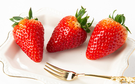 令和8年度　春いちご　古都華　約300g×4パック　合計約1200g_果物・フルーツ いちご  イチゴ 苺_【配送不可地域：離島・北海道・沖縄県】【1486658】