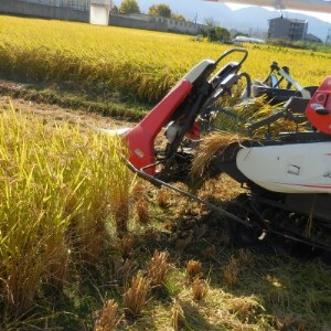 ヒノヒカリ「こだわり肥料と奈良奥吉野の自然豊かな水源地吉野川分水の供給を受け育ったお米」白米10kg【1274663】