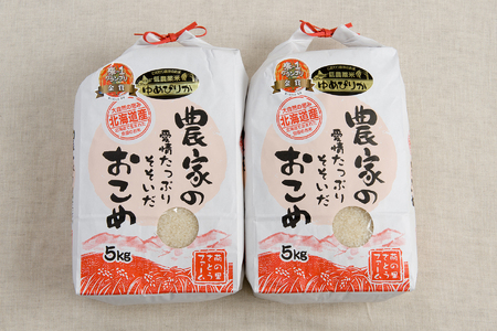 【9ヵ月定期便】北海道南るもい産 ゆめぴりか(白米)5kg×2袋 R011-052