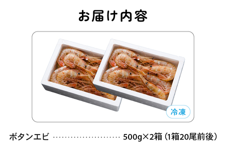 【漁師採りたて 留萌産】ボタンエビ 500g×2