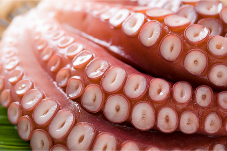 北海道留萌産 冷凍煮たこ足 2kg~2.4kg R006-010