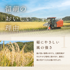 北海道南るもい産【ななつぼし】(白米)5kg×2袋 R011-007