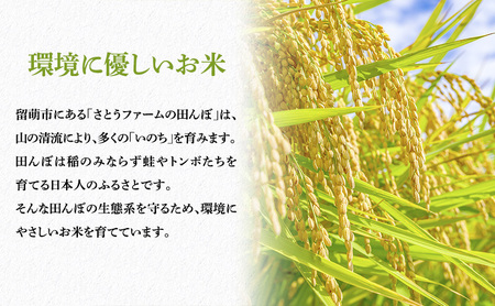 無洗米 定期便 3ヶ月 北海道南るもい産 ななつぼし 10kg (5kg×2袋) お米 おこめ こめ コメ 白米 精米 ご飯 ごはん 3回 お楽しみ 北海道 留萌