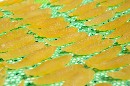 【井原水産】干数の子（特特特特）100g　数の子　おつまみ　珍味　ご飯のお供　お酒のお供 R003-014