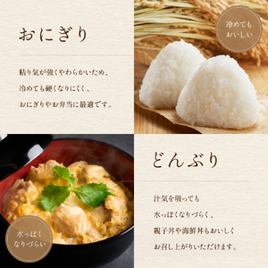 【12ヵ月定期便】北海道南るもい産　ゆめぴりか(無洗米)5kg×2袋 R011-061