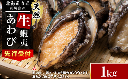 【2026年発送予約】北海道 利尻島産 直送！天然 生えぞあわび１kg 鮑 海鮮 冷蔵 お刺身 魚介 お祝い 鮑 活き 天然【福士水産】