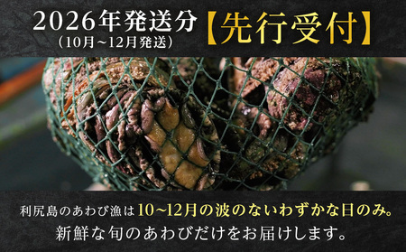 【2026年発送予約】北海道 利尻島産 直送！天然 生えぞあわび１kg 鮑 海鮮 冷蔵 お刺身 魚介 お祝い 鮑 活き 天然【福士水産】