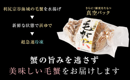 【2026年1月発送】 毛ガニ 中（600g前後）2尾＜利尻漁業協同組合＞
